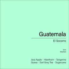 Guatemala El Socorro_Java(Washed)