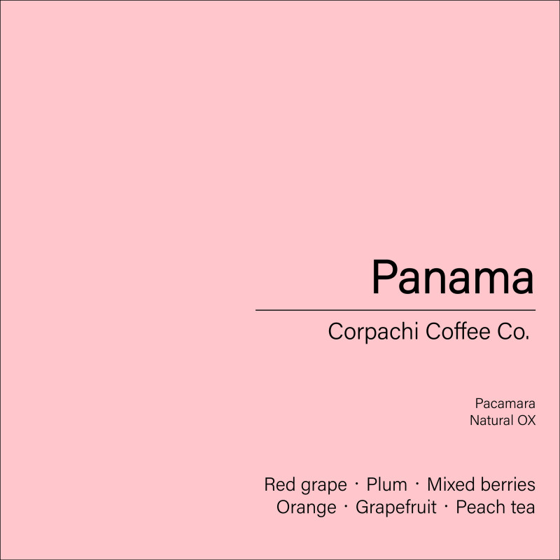 Panama Corpachi Coffee Co._Pacamara(Natural OX) Panama Corpachi Coffee Co._Pacamara(Natural OX)