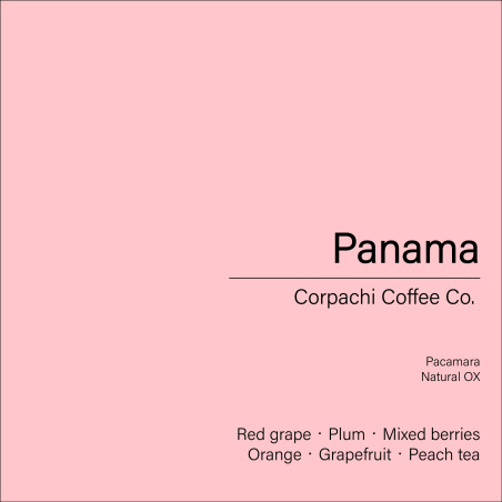 Panama Corpachi Coffee Co._Pacamara(Natural OX)