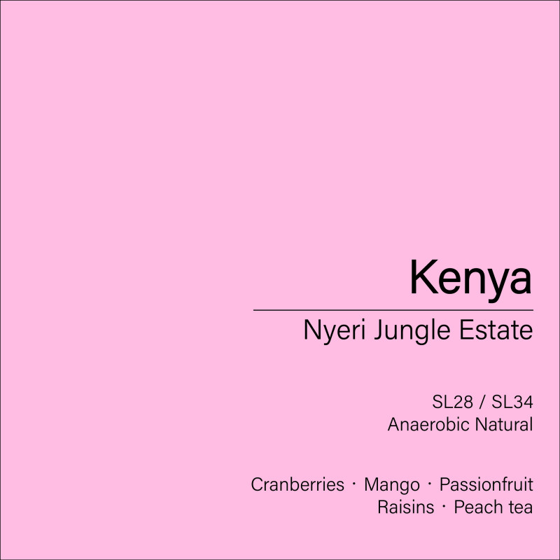 Kenya Nyeri Jungle Estate (Anaerobic Natural) Kenya Nyeri Jungle Estate (Anaerobic Natural)