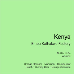 Kenya Embu Kathakwa Factory (Washed)