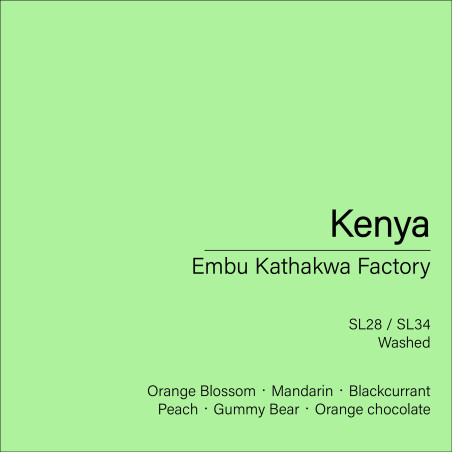 Kenya Embu Kathakwa Factory (Washed)