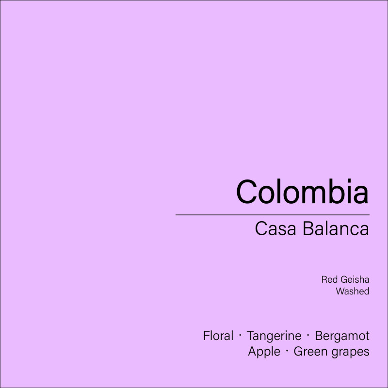 Colombia Casa Blanca_Red Geisha (Washed) Colombia Casa Blanca_Red Geisha (Washed)