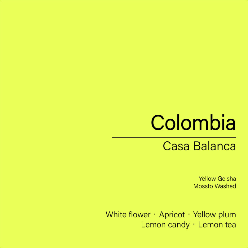 Colombia Casa Blanca_Yellow Geisha (Mossto Washed) Colombia Casa Blanca_Yellow Geisha (Mossto Washed)