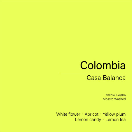 Colombia Casa Blanca_Yellow Geisha  (Mossto Washed)
