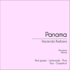 Panama Hacienda Barbara_Pacamara  (Natural)