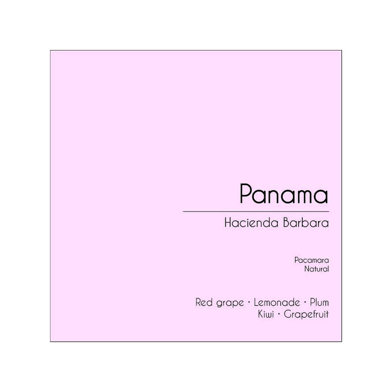 Panama Hacienda Barbara_Pacamara  (Natural)